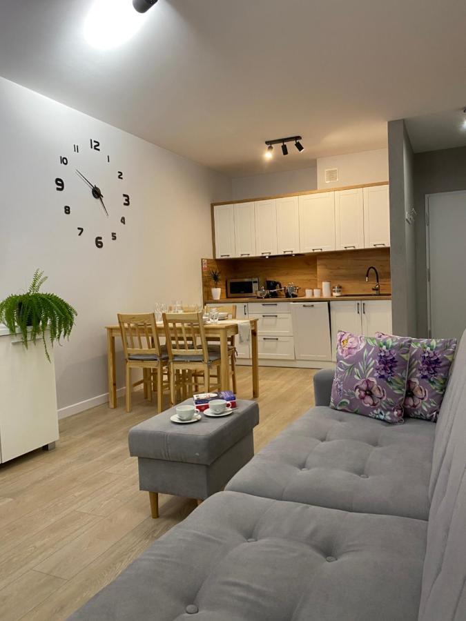 Apartament Bieszczadzkie Widoki Ustrzyki Dolne Bagian luar foto